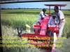 máy gặt lúa liên hoàn ISEKI HB 200 - anh 1